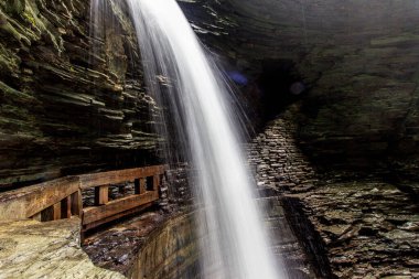 Watkins Glen Eyalet Parkı, New York