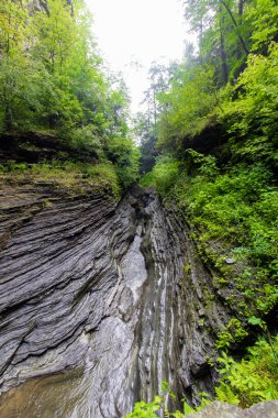 Watkins Glen Eyalet Parkı, New York