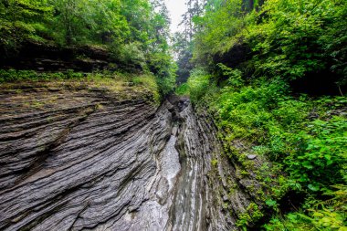 Watkins Glen Eyalet Parkı, New York