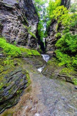 Watkins Glen Eyalet Parkı, New York