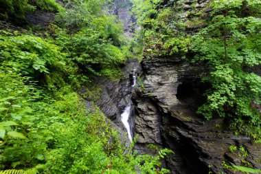 Watkins Glen Eyalet Parkı, New York