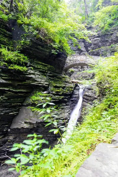 Watkins Glen Eyalet Parkı, New York