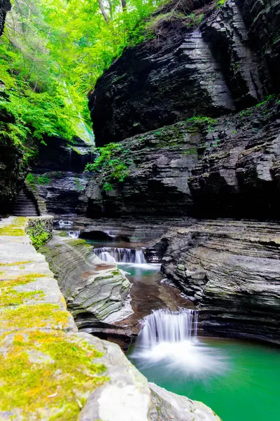 Watkins Glen Eyalet Parkı, New York