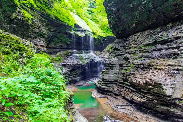 Watkins Glen Eyalet Parkı, New York