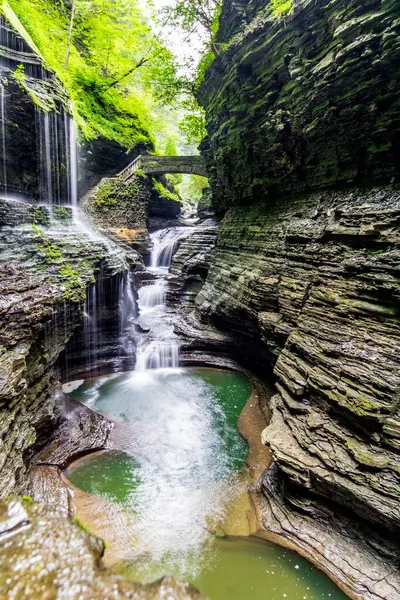 Watkins Glen Eyalet Parkı, New York
