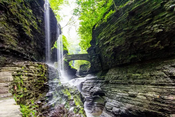 Watkins Glen Eyalet Parkı, New York