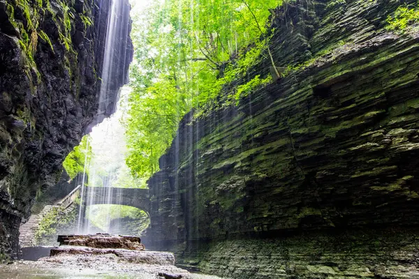 Watkins Glen Eyalet Parkı, New York