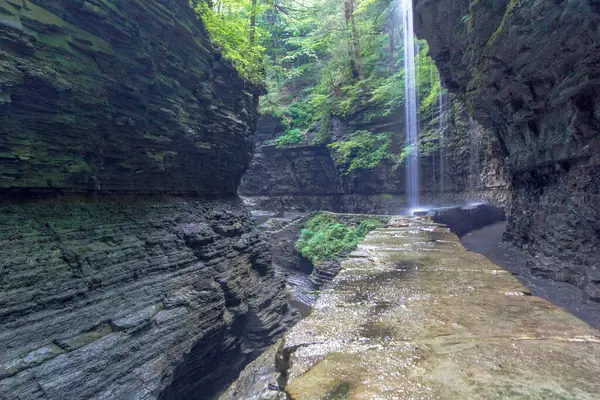 Watkins Glen Eyalet Parkı, New York
