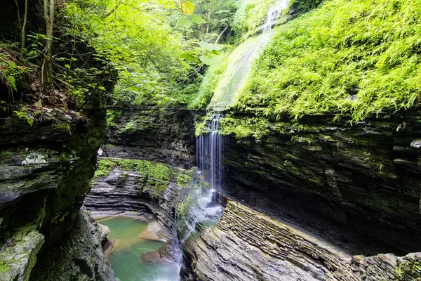 Watkins Glen Eyalet Parkı, New York