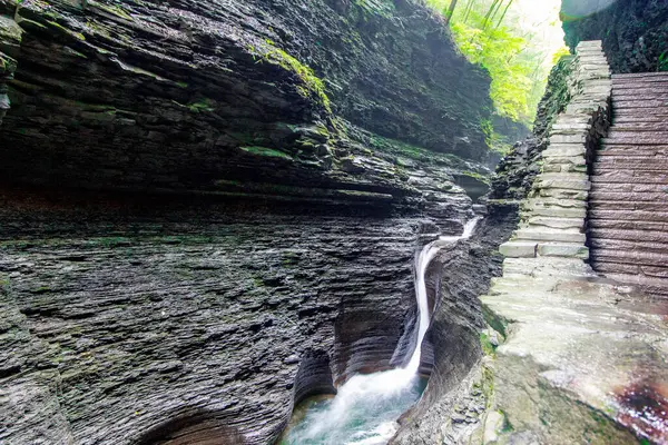 Watkins Glen Eyalet Parkı, New York