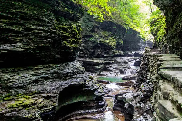Watkins Glen Eyalet Parkı, New York