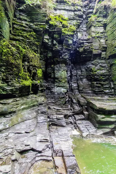 Watkins Glen Eyalet Parkı, New York