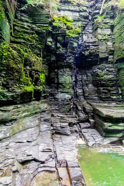 Watkins Glen Eyalet Parkı, New York