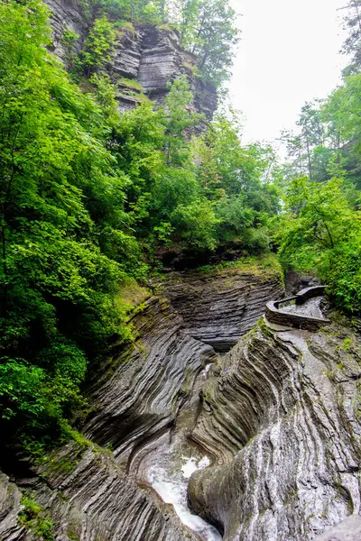 Watkins Glen Eyalet Parkı, New York