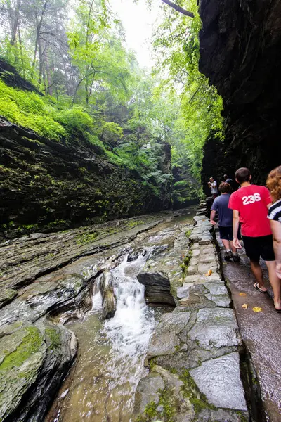 Watkins Glen Eyalet Parkı, New York