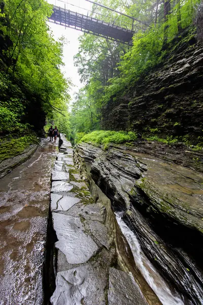 Watkins Glen Eyalet Parkı, New York