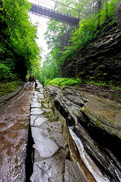Watkins Glen Eyalet Parkı, New York