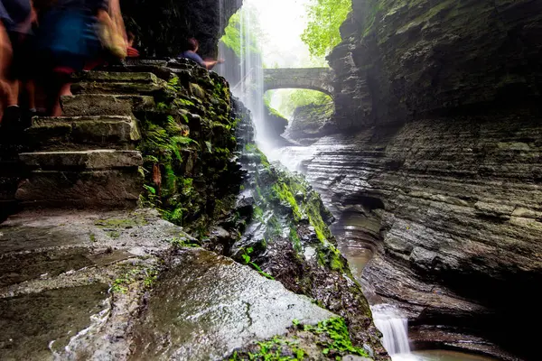 Watkins Glen Eyalet Parkı, New York