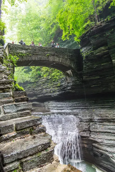 Watkins Glen Eyalet Parkı, New York
