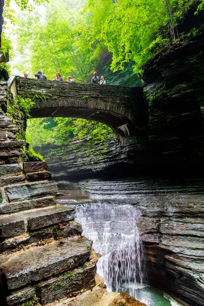 Watkins Glen Eyalet Parkı, New York
