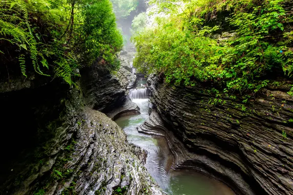 Watkins Glen Eyalet Parkı, New York