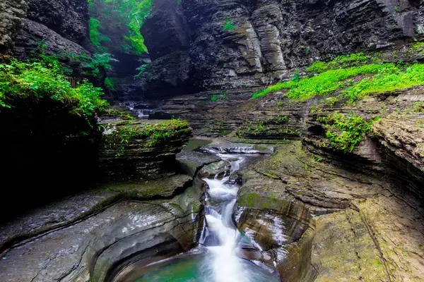 Watkins Glen Eyalet Parkı, New York