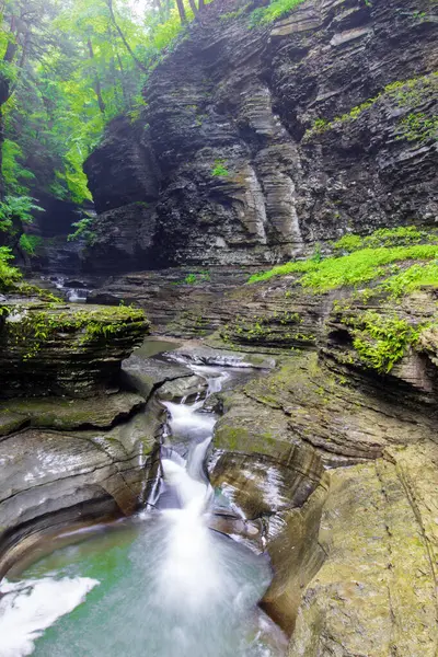 Watkins Glen Eyalet Parkı, New York