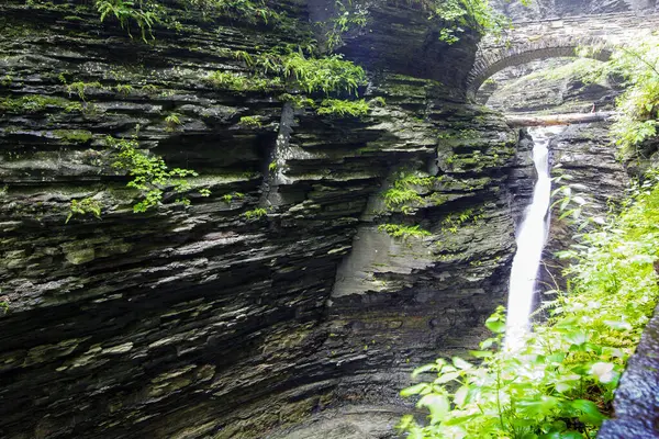 Watkins Glen Eyalet Parkı, New York