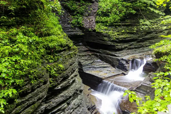 Watkins Glen Eyalet Parkı, New York
