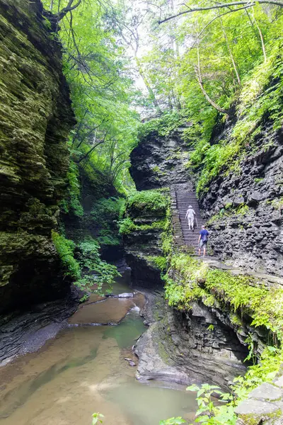 Watkins Glen Eyalet Parkı, New York