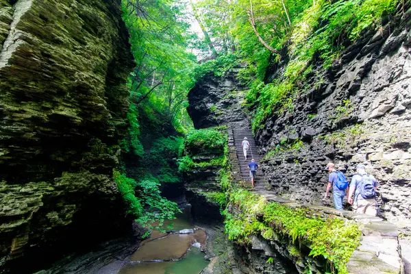 Watkins Glen Eyalet Parkı, New York