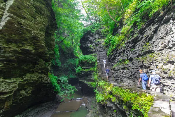 Watkins Glen Eyalet Parkı, New York