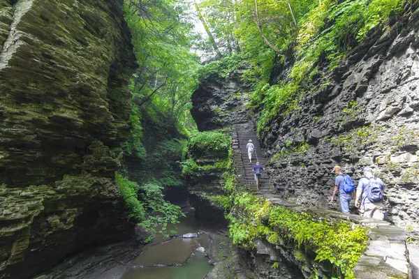 Watkins Glen Eyalet Parkı, New York