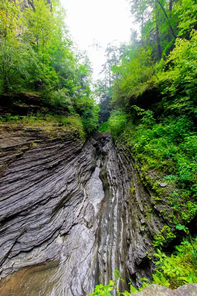 Watkins Glen Eyalet Parkı, New York