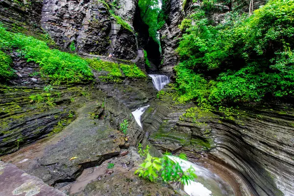 Watkins Glen Eyalet Parkı, New York
