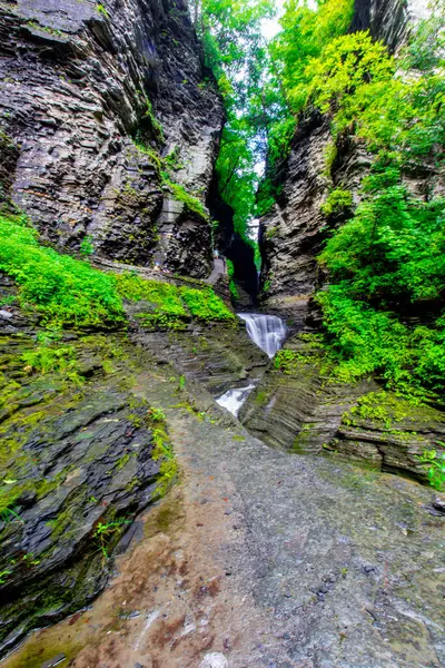 Watkins Glen Eyalet Parkı, New York