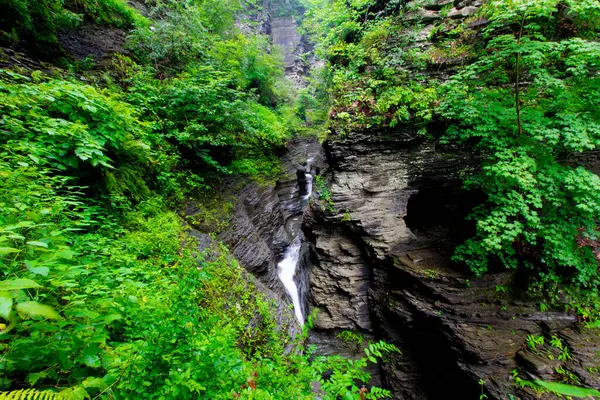 Watkins Glen Eyalet Parkı, New York