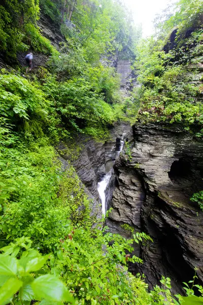 Watkins Glen Eyalet Parkı, New York