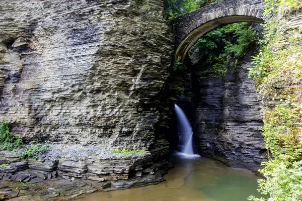 Watkins Glen Eyalet Parkı, New York