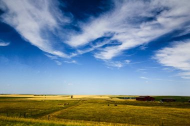 Güney Dakota 'nın Büyük Ovaları Yazın