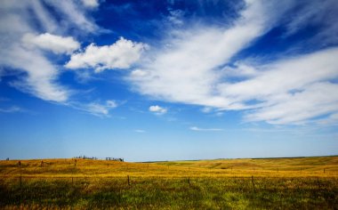 Güney Dakota 'nın Büyük Ovaları Yazın