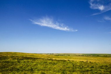 Güney Dakota 'nın Büyük Ovaları Yazın