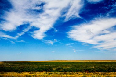 Güney Dakota 'nın Büyük Ovaları Yazın