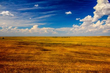 Güney Dakota 'nın Büyük Ovaları Yazın Görünümü