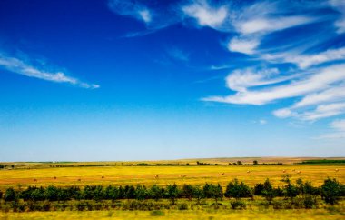 Güney Dakota 'nın Büyük Ovaları Yazın