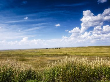 View of The Great Plains of South Dakota in Summer