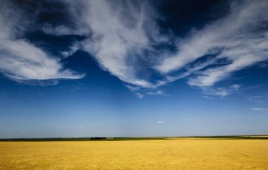 Güney Dakota 'nın Büyük Ovaları Yazın