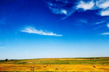 Güney Dakota 'nın Büyük Ovaları Yazın