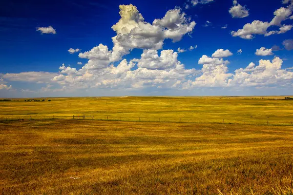 Güney Dakota 'nın Büyük Ovaları Yazın Görünümü