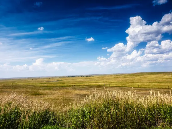 Güney Dakota 'nın Büyük Ovaları Yazın Görünümü
